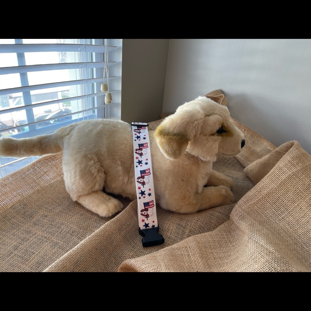 Patriotic Dog Collar Dog and Flag